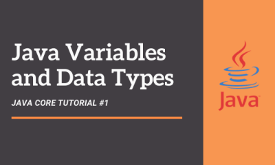 Java Tutorial #1 - Variables and Data Types | Automation Dojos